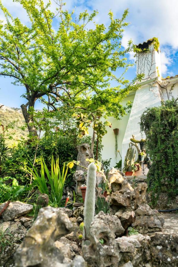 Los Cactus El Gastor Zewnętrze zdjęcie